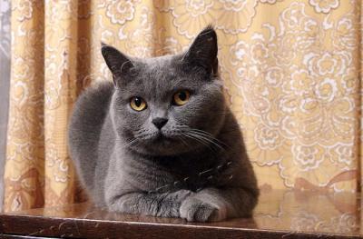 Ой, это про меня?