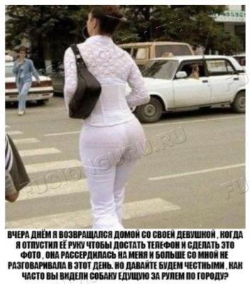 Снимок собаки