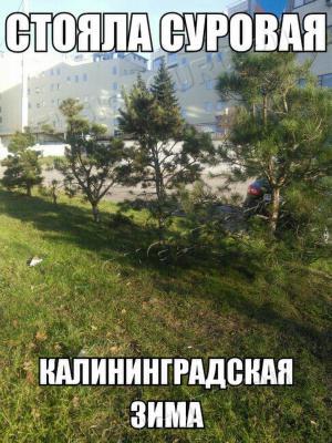 зима