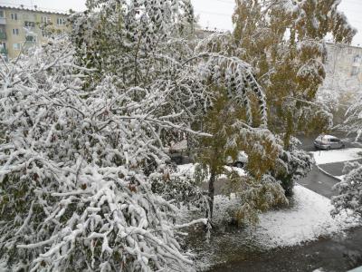 первый снег