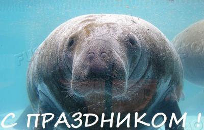 амазонский-ламантин