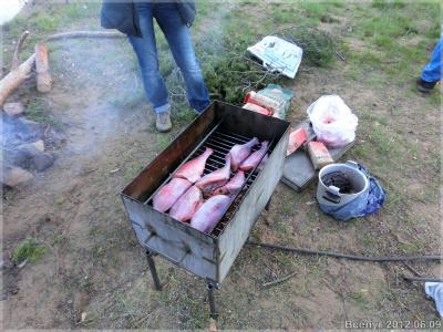 Рыба из Питера