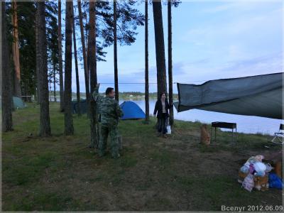 Все дружно